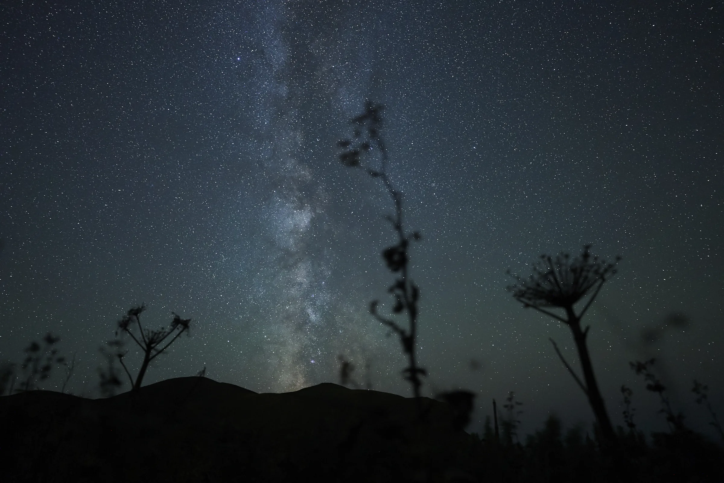 礼文島の満天の星空と天の川